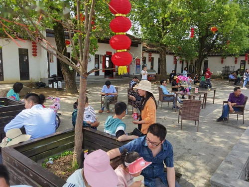 罗田假日旅游 产品丰富，服务文明有序