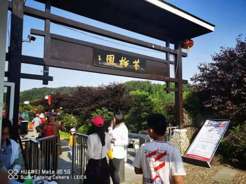 罗田假日旅游 产品丰富，服务文明有序