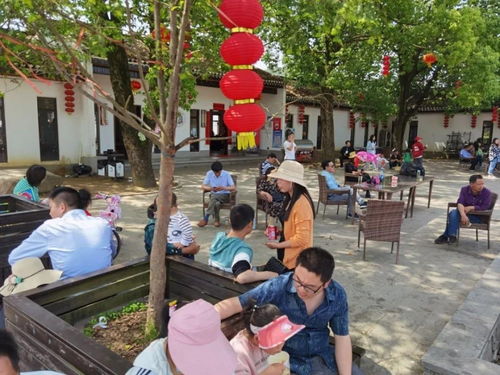 罗田假日旅游 产品丰富多样，服务文明有序