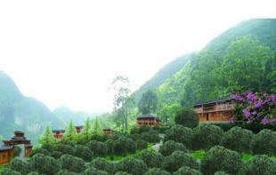 旅游节庆与会展活动策划 驱动目的地魅力的专业引擎